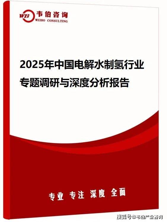韦伯咨询：2025年中国电解水制氢行业专题调研与深度分析报告